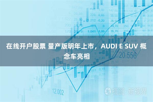 在线开户股票 量产版明年上市，AUDI E SUV 概念车亮相