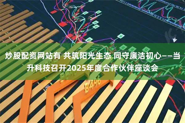 炒股配资网站有 共筑阳光生态 同守廉洁初心——当升科技召开2025年度合作伙伴座谈会